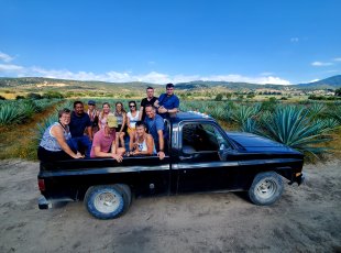 Na korbě paliče mezcalu v Mexiku