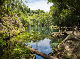 Čistá voda cenote Dudú přímo vyzívá ke koupání